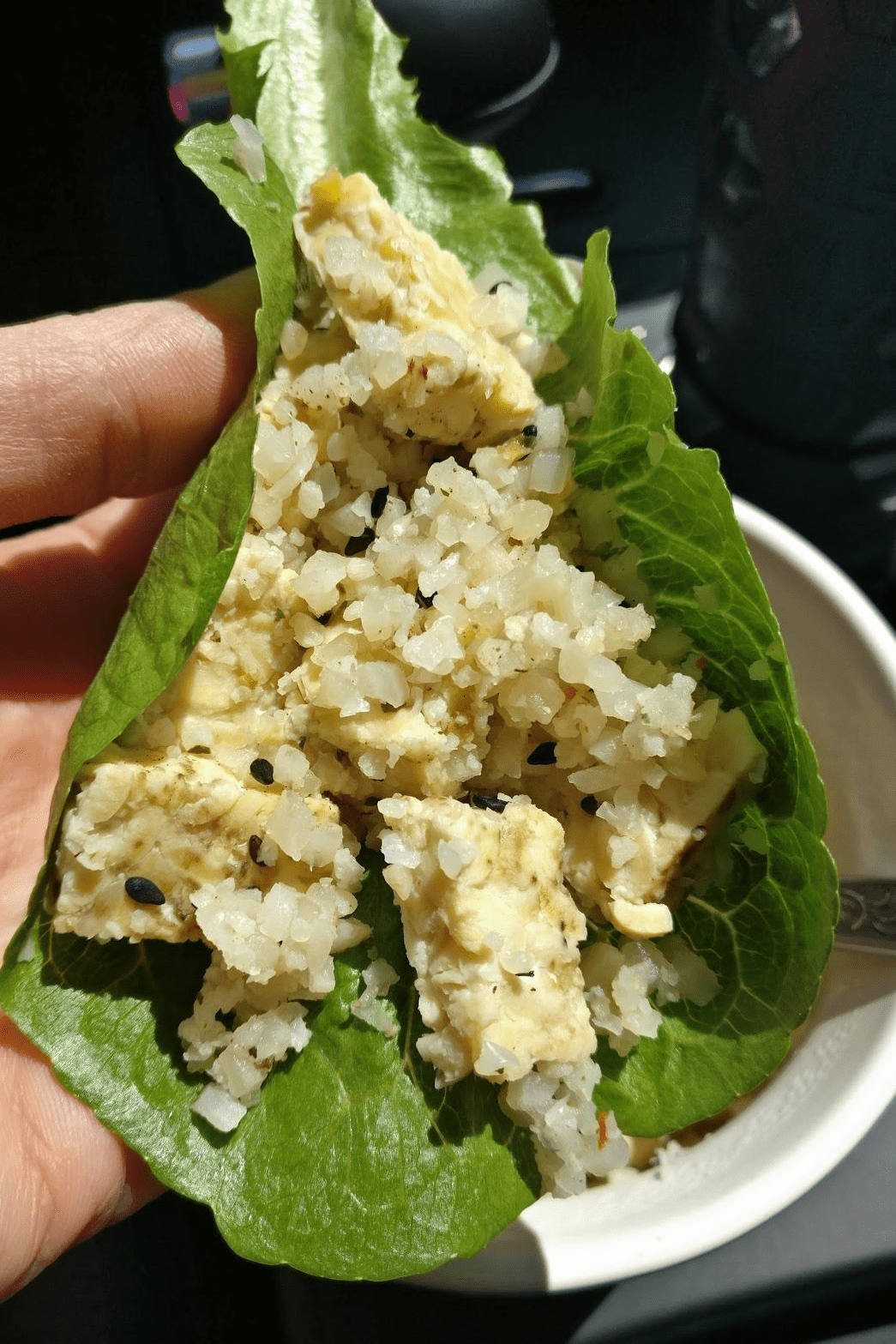 Tempeh and Cauliflower Rice Boats (Vegetarian Protocol)