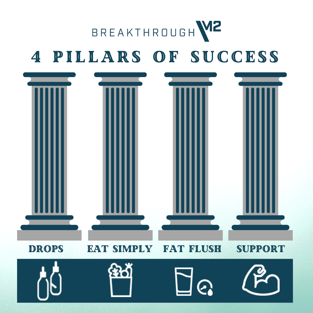 Our 4 Pillars that leads to Success!