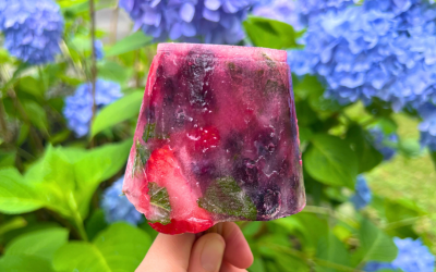 Easy Fruity Popsicles